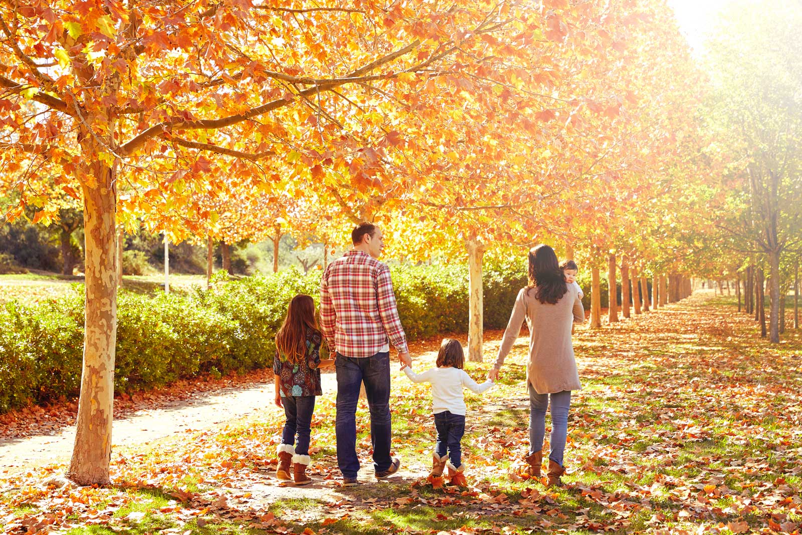 Catholic Wellness article by Rebecca Wilson featured in the National Catholic Register