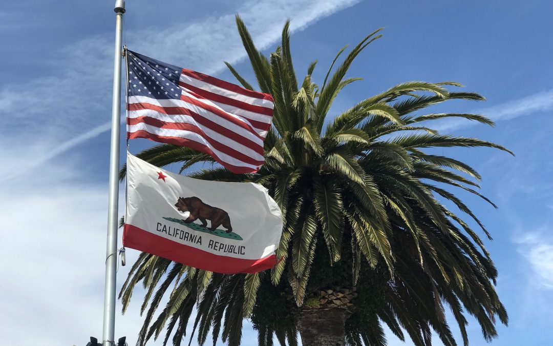 California Flag & USA Flag in front of palm tree