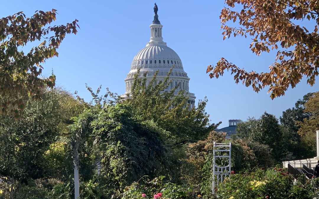 Christ Medicus Statement on Case for FDA Investigation into Abortion Pill
