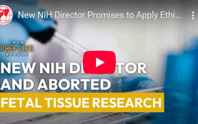 Why IVF is an Immoral Solution to Infertility